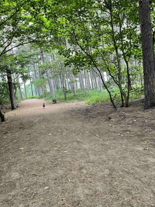 Formby, Spacious True Bungalow Steps From Beach ภายนอก รูปภาพ